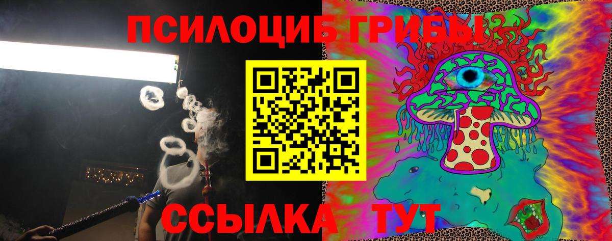 что такое наркотик  Вход с VPN  Кириши  Псилоцибиновые грибы прущие грибы  Галлюциногенные грибы мицелий 